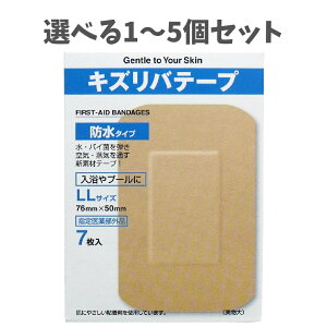 y|Cg10{Ly[Xoi[Gg[K{zyIׂ1`5ZbgzLYoe[v h^Cv LLTCY 7 ΂񂻂p ̕ی v[