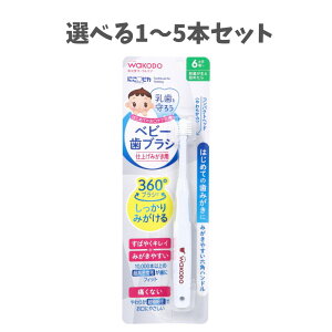 y|Cg10{Ly[Xoi[Gg[K{zyIׂ1`5{Zbgza ɂsJ xr[uV dグ݂p 1{ ɂȂ 6`