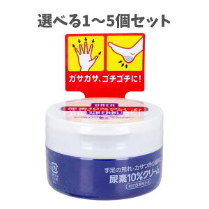 y|Cg10{Ly[Xoi[Gg[K{zyIׂ1`5ZbgzAf10N[ W[ 100g ΍ 蔧̕ێ