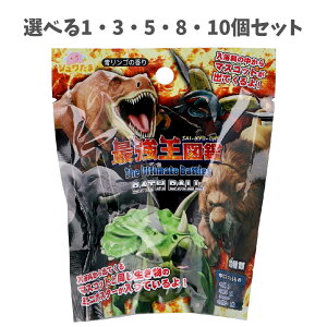 y|Cg10{Ly[Xoi[Gg[K{zyIׂ1E3E5E8E10ZbgzV َŋ oX{[ S̍ 55g Cg[jOq̂C 