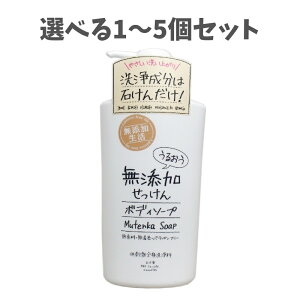 y|Cg10{Ly[Xoi[Gg[K{zyIׂ1`5Zbgz邨Y {fB\[v { 500mL h Sg {fBPA oXpi