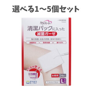 y|Cg10{Ly[Xoi[Gg[K{zyIׂ1`5ZbgzPAn[g pbNɓŋۃK[[ LTCY p 24 ~}pi 100K[[ PK̎蓖