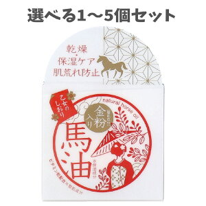 y|Cg10{Ly[Xoi[Gg[K{zyIׂ1`5Zbgẑ  nN[ 60g 炭炭XLPA rh~ ێPA  Sg