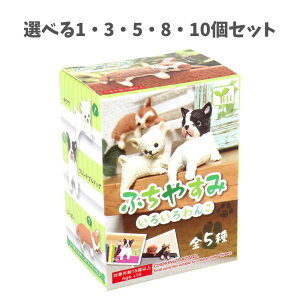 �y�I�ׂ�1�E3�E5�E8�E10�Z�b�g�z�t�B�M���A �ӂ��₷�� ���낢���� BOX 1�� ���킢���~�j�`���A �t�B�M���A�܂Ƃߔ��� �����K�`��