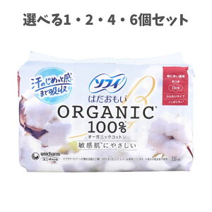 y|Cg10{Ly[Xoi[Gg[K{zyIׂ1E2E4E6Zbgz\tB ͂I[KjbNRbg100% ɑp H 23cm 15 q z͔Q 