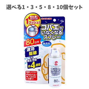 y|Cg10{Ly[Xoi[Gg[K{zyIׂ1`10ZbgzRoGȂȂXv[  80p RoGގ CȒ΍ Q쏜