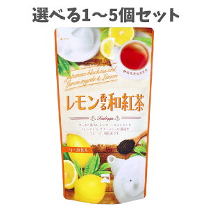 y|Cg10{Ly[Xoi[Gg[K{zyIׂ1`5Zbgzag eB[obO 3g×20 t[o[ag tbV JtF