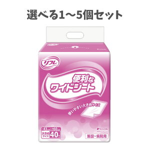 y|Cg10{Ly[Xoi[Gg[K{zyIׂ1`5Zbgzt {݁Ea@p ֗ȃChV[g40 傫߃TCY  AR