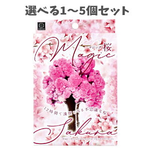 y|Cg10{Ly[Xoi[Gg[K{zyIׂ1`5Zbgz}WbN 1Zbg  rO ̏ ItBX̃GgX v[g