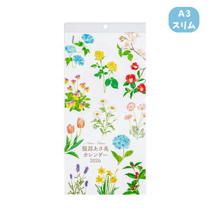 y|Cg10{Ly[Xoi[Gg[K{zyiJoVzǊ|J_[2026 ԃCXg^A3X (COC-CLH-A3SFI-26) 킢 2026NJ_[ t[CXg 