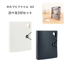 【100円クーポン★ポイント5倍バナーよりエントリー必須】【選べる2個セット】かたづくファイル A5 (DF-KTDF-A5) ホワイト ブラック ハンドル付き 郵便物 薬袋 明細書 収納 じゃばら 書類収納 便利