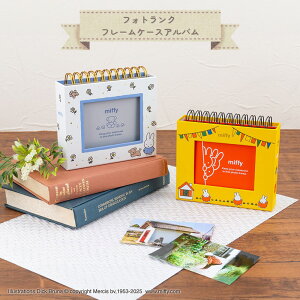 y|Cg10{Ly[Xoi[Gg[K{zyiJoVzmiffy tHgN t[P[XAo L60[ u[i (A-FTPC-208) CG[(1) zCg(2) ʐ^ A