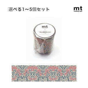 y|Cg10{Ly[Xoi[Gg[K{zyIׂ1`5ZbgzMorrisCo. Michaelmas Daisy (MTWILL30) EBAX }XLOe[v [ bsO 蒠fR 