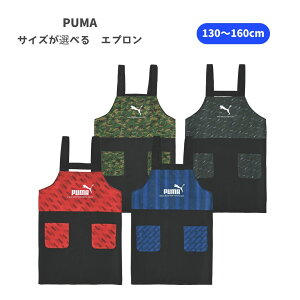 y|Cg10{Ly[Xoi[Gg[K{zyTCYIׂzNc PUMA Gv 130cm(PM578) 140cm(PM579) 150cm(PM580) 160cm(PM581) ǂ v[} w   j̎q