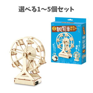 y|Cg10{Ly[Xoi[Gg[K{zyIׂ1`5ZbgzؐϗԑgLbg (55521) LbYH ؐ mߋ R ċx ~x ǂ A[e