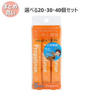 y|Cg10{Ly[Xoi[Gg[K{zyIׂ20E30E40Zbgzv|XXeBbNpE` 12mL×6 t L΍ 