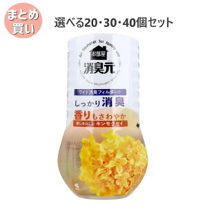 y|Cg10{Ly[Xoi[Gg[K{zyIׂ20E30E40Zbgz̏L ͂ԃLNZC 400mL ԏL  Sn悢