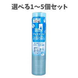 【選べる1～5個セット】シーブリーズ アイスドライシャンプー フローズンミント 95g ひんやり 冷感 さらさらパウダー