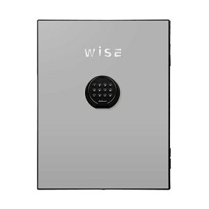 �y���������z�f�B�v���}�b�g WISE�v���~�A���Z�[�t�t�F�C�X�p�l��(���C�g�O���C) WS500FPLG