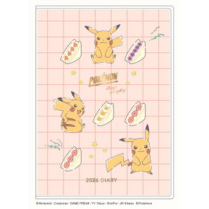 A[gvgWp 26N _CA[ B6TCY  sJ`E t[c 1000137347 }X[ 48y[W 10͂܂