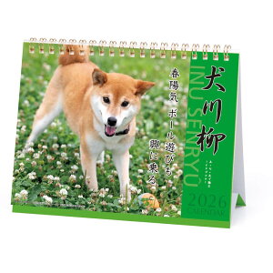 y121524H聚Gg[őSiP10{IzA[gvgWp 26N J_[   1000136878 1͂܂