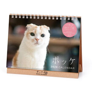 yő2,000~ItCOUPON 121-6959܂ŁzA[gvgWp 26N J_[ |bP  1000136887 1͂܂