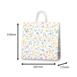 y11/20()24h聚I2l1lőSz|CgobNvGg[zwCR[   25CB 3 y[t[ 32x11.5x31cm 50 HEIKO #3260100