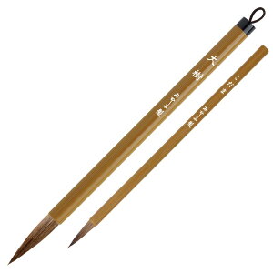 y12/5()24h聚I2l1lőSz|CgobNvGg[z akashiya pM {gi/܁j ALS-101