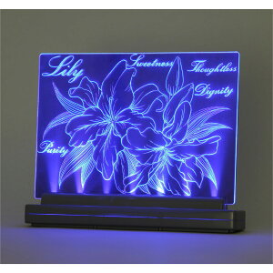 y12/5()24h聚I2l1lőSz|CgobNvGg[zArtec(A[ebN) CgXNb` A5 #13347