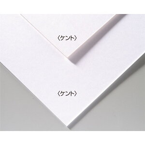 yő2,000~ItCOUPON 111-6959܂ŁzArtec(A[ebN) A&BIWiA[g{[h B4Pg #143305