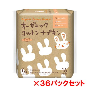 RbgE{ I[KjbNRbg ivL HȂ 25.5cm 16 36pbNZbgi1P[Xj
