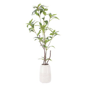 y12/10()24h聚I2l1lőSz|CgobNvGg[zsf tFCNO[ MNZC Z~bN|bg O[ 41133 lHϗtA  CeA  