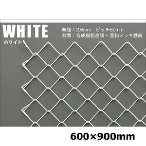 y101024H聚Gg[őSiP10{Iz hikari oXbV 600×900mm zCg RMEJ69-2 CeA ǎ[ Ԏd؂