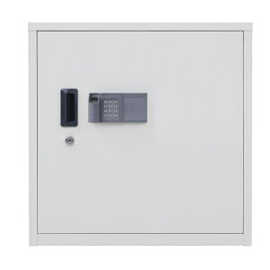 yz{ACEGXEPC ZLeBۊǌɁi}Cio[Ήj SB-60FPE@w+eL[@J@\@60L@M̓{ nk ЊQ h