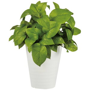 y12/10()24h聚I2l1lőSz|CgobNvGg[zkԍ lH C|gX 90239 128276