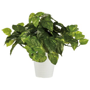 y12/10()24h聚I2l1lőSz|CgobNvGg[zkԍ lH |gXubV 90240 128277