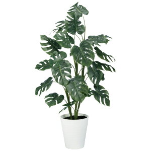 y12/10()24h聚I2l1lőSz|CgobNvGg[zkԍ lH XeR 90852 754646