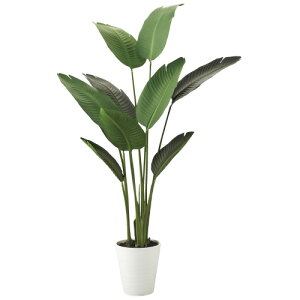 y12/10()24h聚I2l1lőSz|CgobNvGg[zkԍ lH I[KX^ 90857 768443