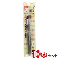 【4月4日20時-10日1時59分までエントリーで2点購入P5倍・3点以上でP10倍】プラチナ萬年筆 万年筆 プレピ…