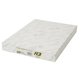 yő2,000~ItCOUPON 111-6959܂ŁzvX(PLUS)J[y[p[ _CI[}`J[ A3 500  CW-640C@86-430