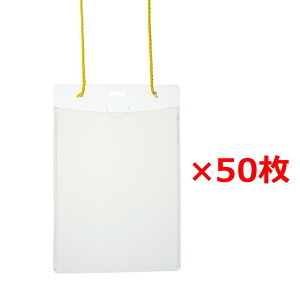 vX(PLUS) D l[^bO ݂艺 Cxgp ͂TCY 50 CT-E2 CG[ 84-804
