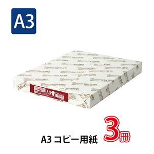 y101024H聚Gg[őSiP10{IzvX(PLUS)Rs[p OAp ㎿^Cv A3-T CR-240 3pbN@56-003