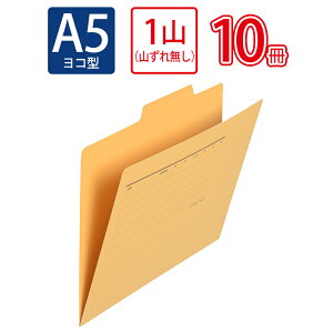 �y4��4��20��-10��1��59���܂ŃG���g���[��2�_�w��P5�{�E3�_�ȏ��P10�{�z�v���X(PLUS)�ʃt�H���_�[ A5-E �C�G���[ FL-066IF 10�Z�b�g�@87-457