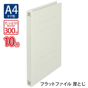 �y4��4��20��-10��1��59���܂ŃG���g���[��2�_�w��P5�{�E3�_�ȏ��P10�{�z�v���X(PLUS)�t���b�g�t�@�C�� ���Ƃ� A4-S 300���Ƃ� �O���[ NO.021NW 10���p�b�N�@79-049