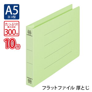 yő2,000~ItCOUPON 111-6959܂ŁzvX(PLUS)tbgt@C Ƃ A5-E 300Ƃ O[ NO.042NW 10pbN@88-396