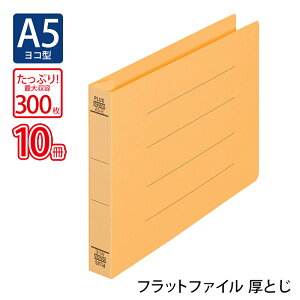 y11420`11159܂őSi|Cg2{zvX(PLUS)tbgt@C Ƃ A5-E 300Ƃ CG[ NO.042NW 10pbN@88-397