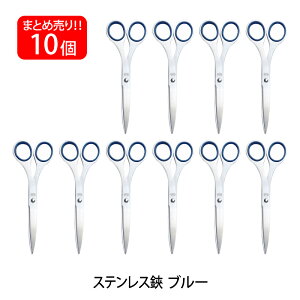 �y12��15��24H���聚�G���g���[�őS���iP10�{�I�z�y���������z�v���X(PLUS) �͂��� �X�e�����X�� �n�n��165mm �u���[ 10�{�Z�b�g NO.165 34-724