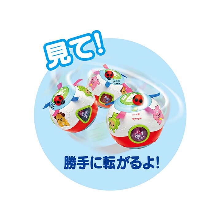 楽天市場 1日限定まで全商品p2倍 トイローヤル Toyroyal おいかけてコロコロボール 786 オフィスランド