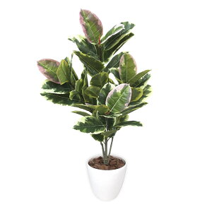 y12/10()24h聚I2l1lőSz|CgobNvGg[zyzyTTKz lHϗtA AeV} MTCY 32-8715