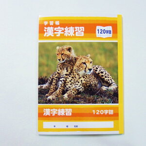 TtCWp@wK@K@120@500-2428@500-2428